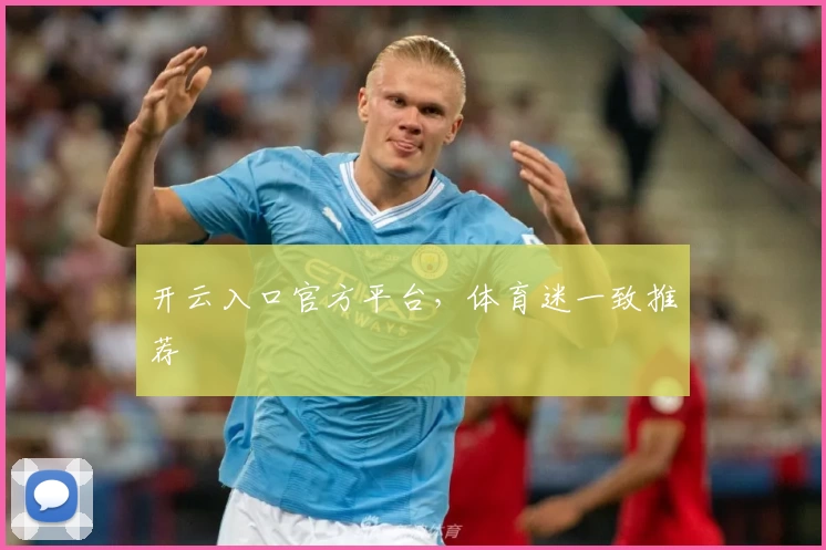 开云入口官方平台，体育迷一致推荐