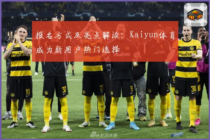 报名方式及亮点解读：Kaiyun体育成为新用户热门选择